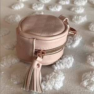 Itzy ritzy pacifier bag